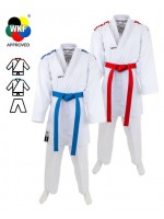 Karategi SMAI Kumite Pro Fighter Premier League