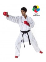 Karategi Tokaido Kumite Master